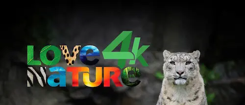فرکانس های کانال های 4k ماهواره